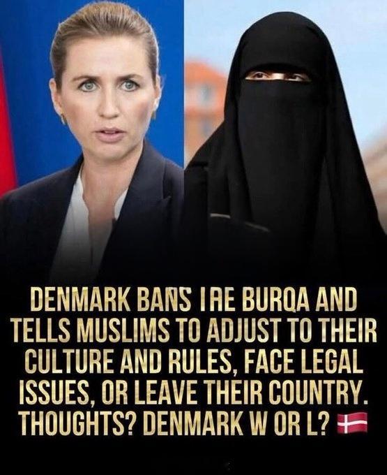 塔利班  丹麦推出法令：禁止穆斯林女性穿罩袍，并要求她们适应丹麦的文化和规则；否