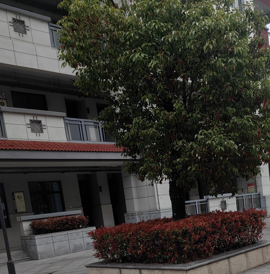 什么车型更适合改床车?首选当然是面包车，空间规整充裕，更具有实用性。其次是SUV