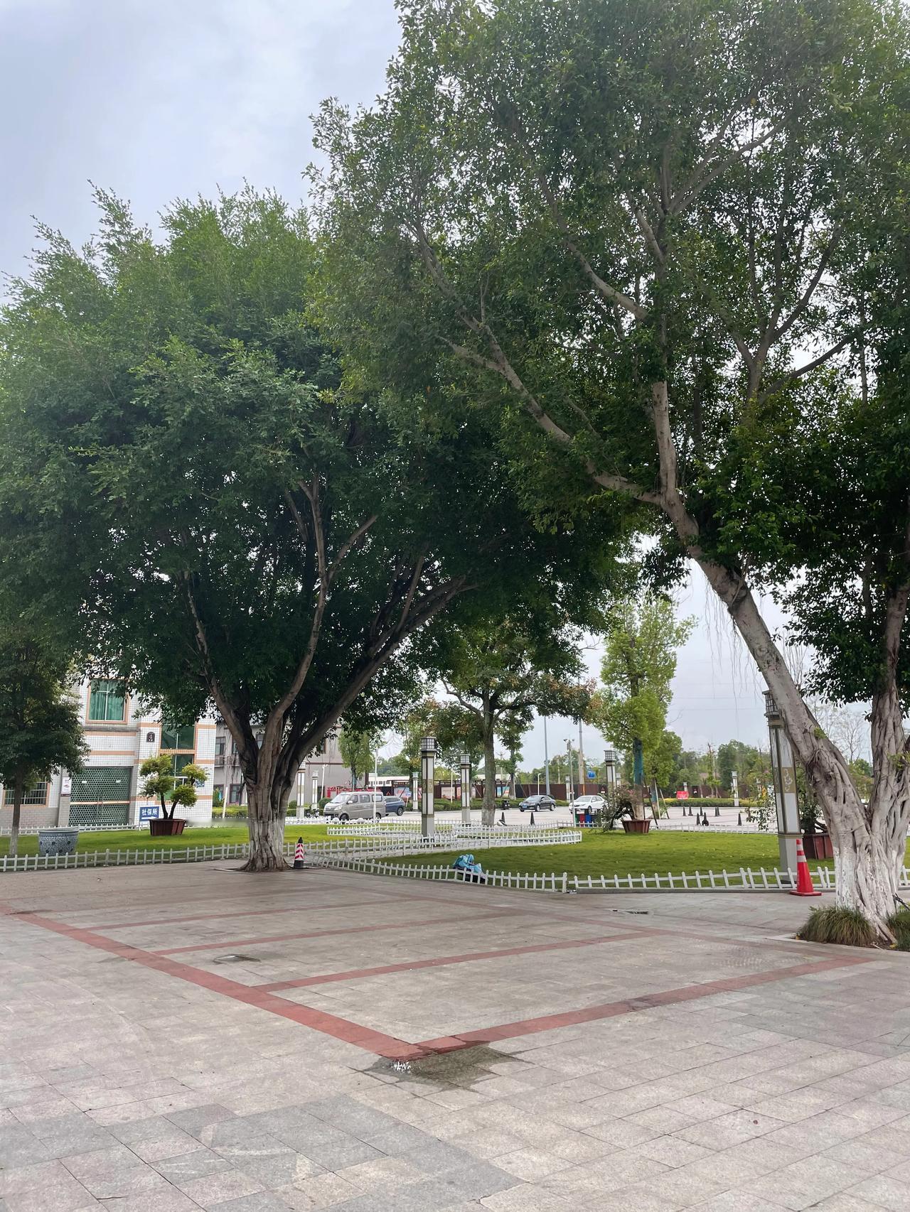 政府大院
        ——南木子
国庆邀朋三驱耍，
走街串巷吃田粑。
参观政