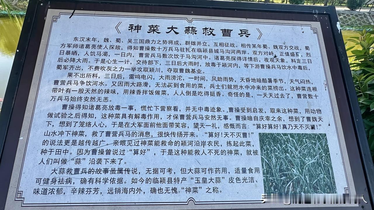 【临颍民间蒜传说，关于曹操与诸葛】东汉末年，魏蜀吴三足鼎立之势将成。群雄逐鹿，互
