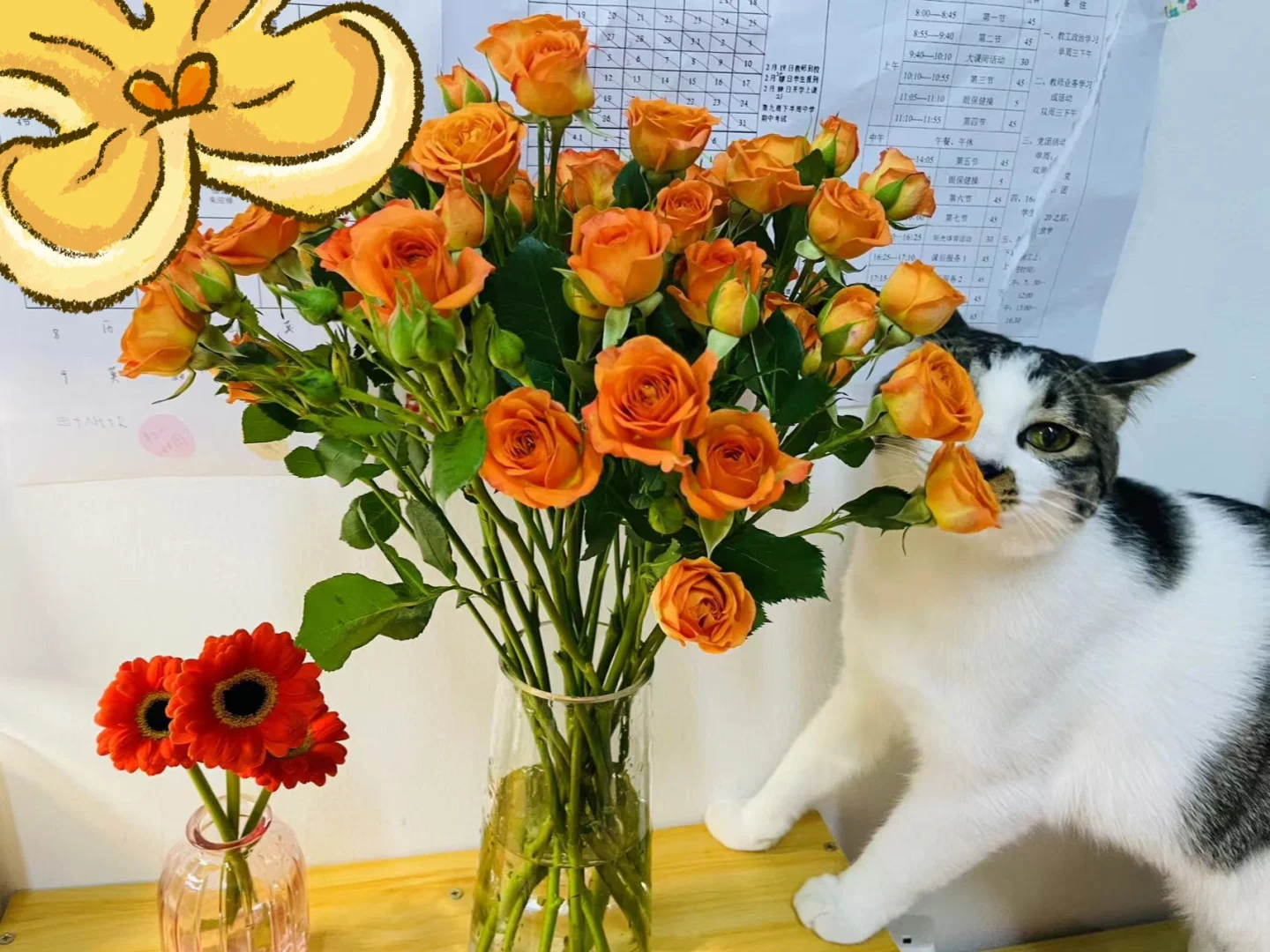 买到好看新鲜的花心情都会变好