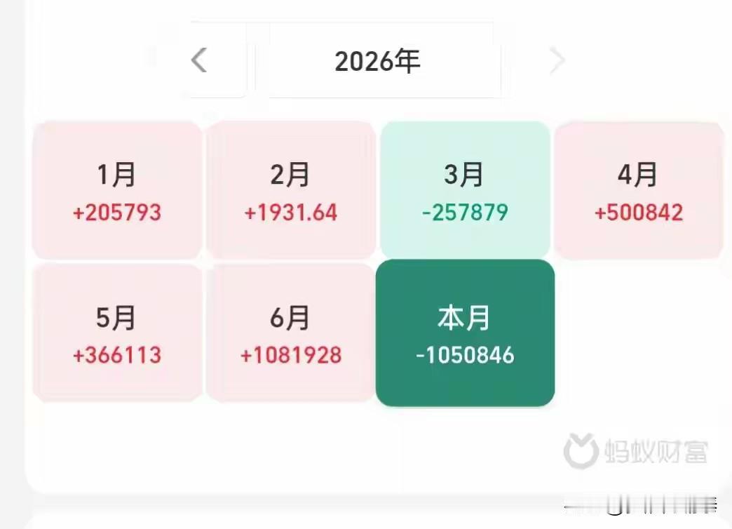 上半年一路高歌，七月一轮回调，盈利几乎全部回吐
 
看这位基民今年的账户收益，真