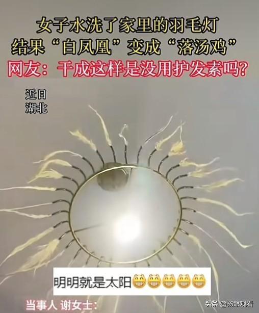 近日，湖北荆州有位谢女士属实好心办坏事，家里仙气飘飘的白色羽毛灯积满灰尘，她干脆