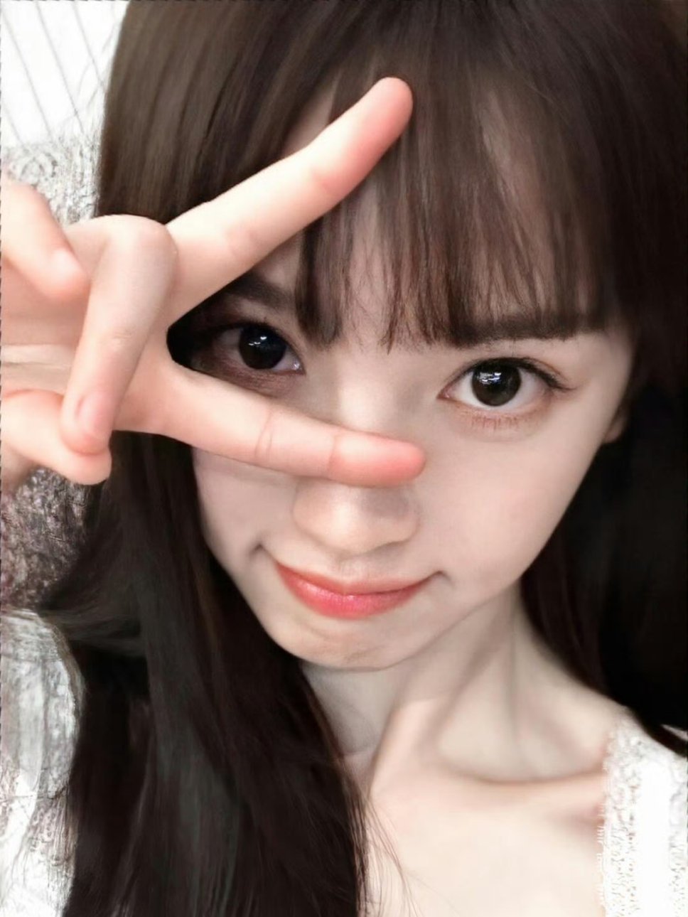 猫和她的小树杈>ᴗoಣ