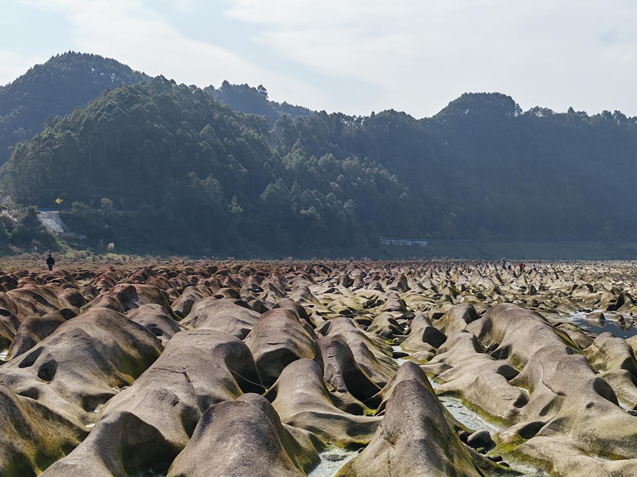 平羌小三峡：一个有故事的地方！
岷江上，板桥溪，多少文人墨客踏舟而去…
李白、苏