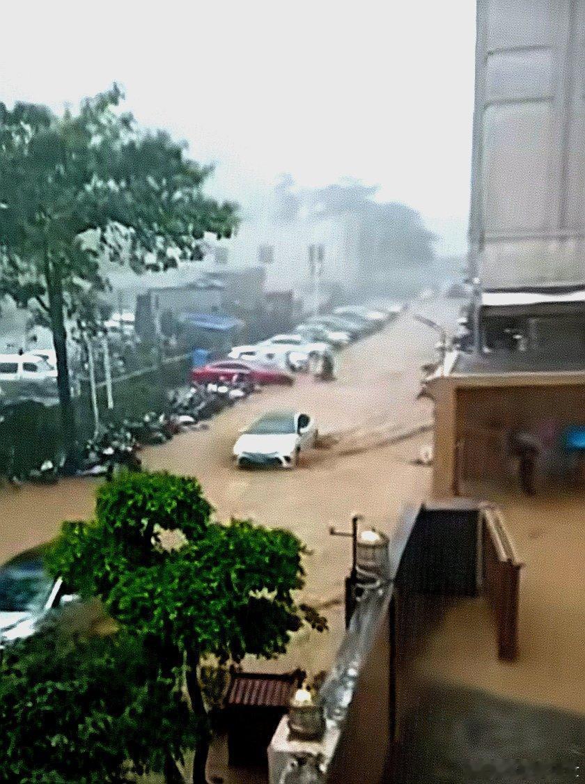 雨中即景 