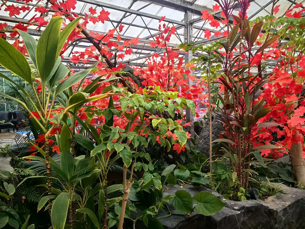 分享一张你拍的最美的一张照片