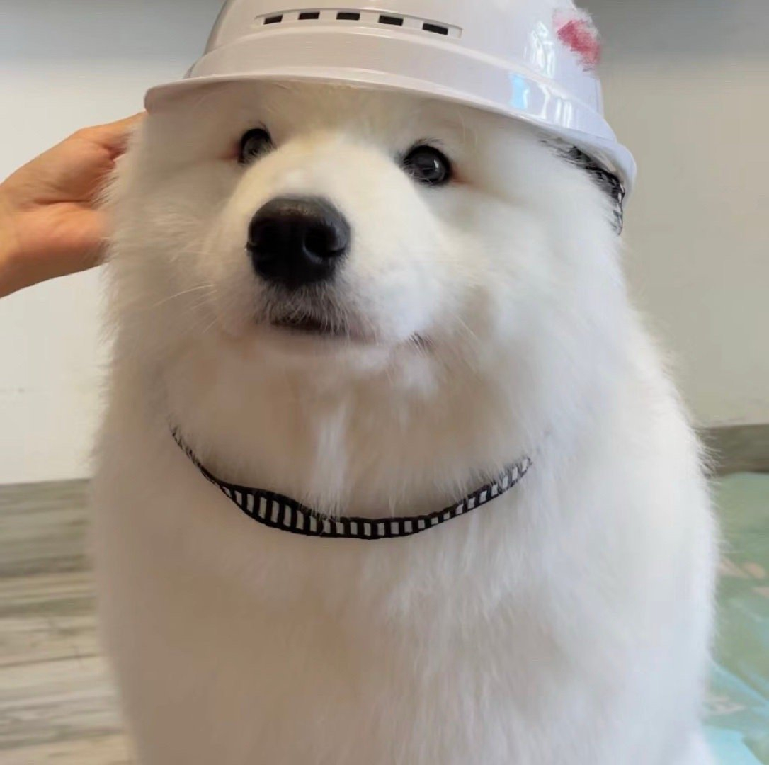 耶师傅，这个项目好好干！ 