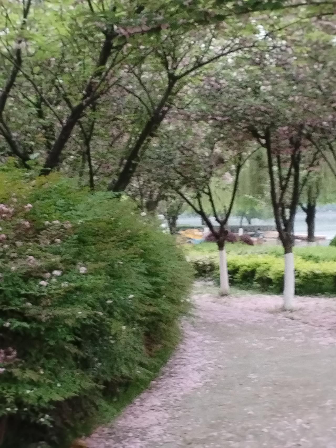 在温暖中享受美好时光

春天，是万物复苏的季节，空气中弥漫着花香和泥土的清新气息