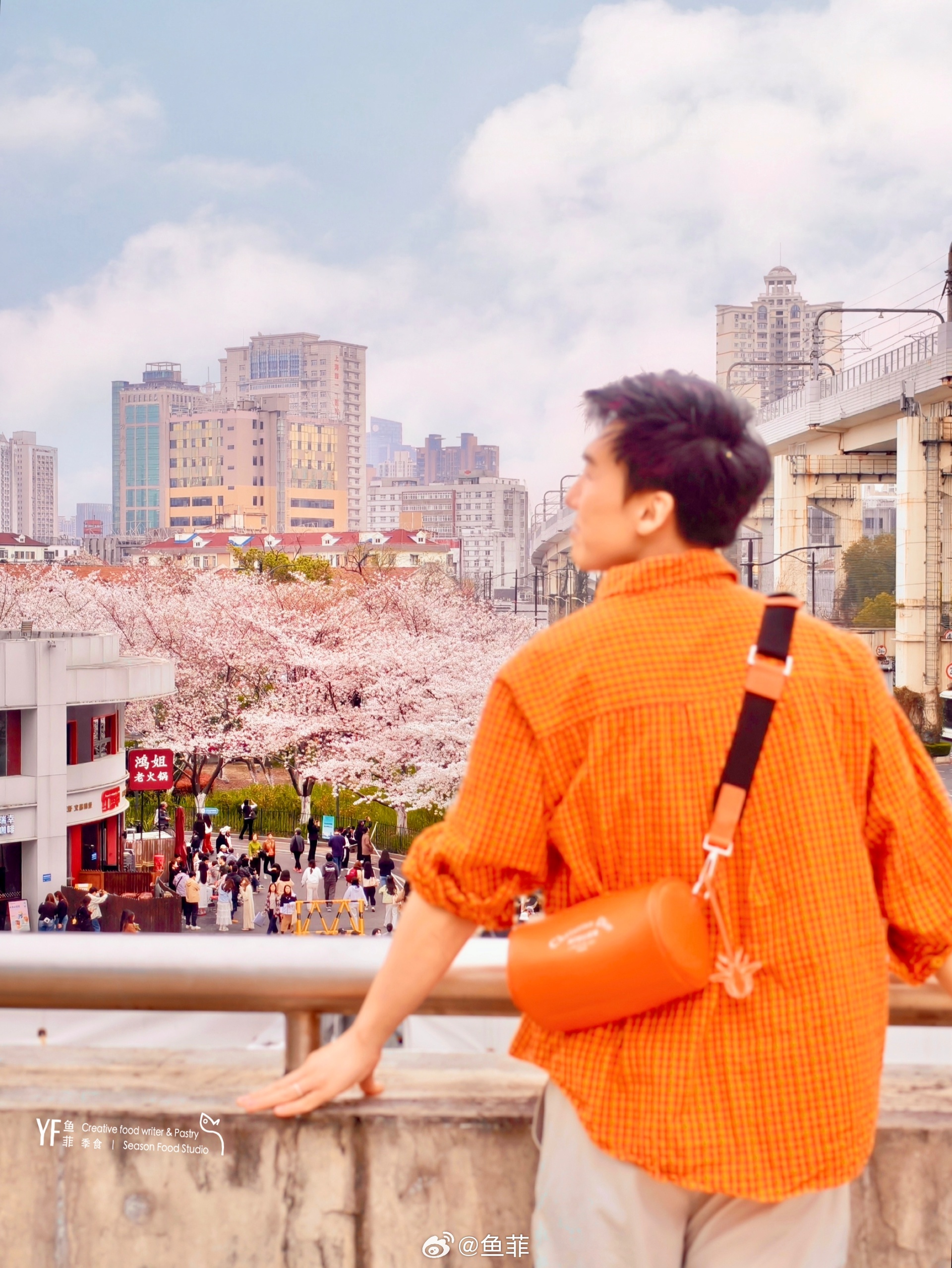 四月春和景明，樱花烂漫的季节，虹口足球场的樱花满开，人挤人有时候也是一种快乐，大