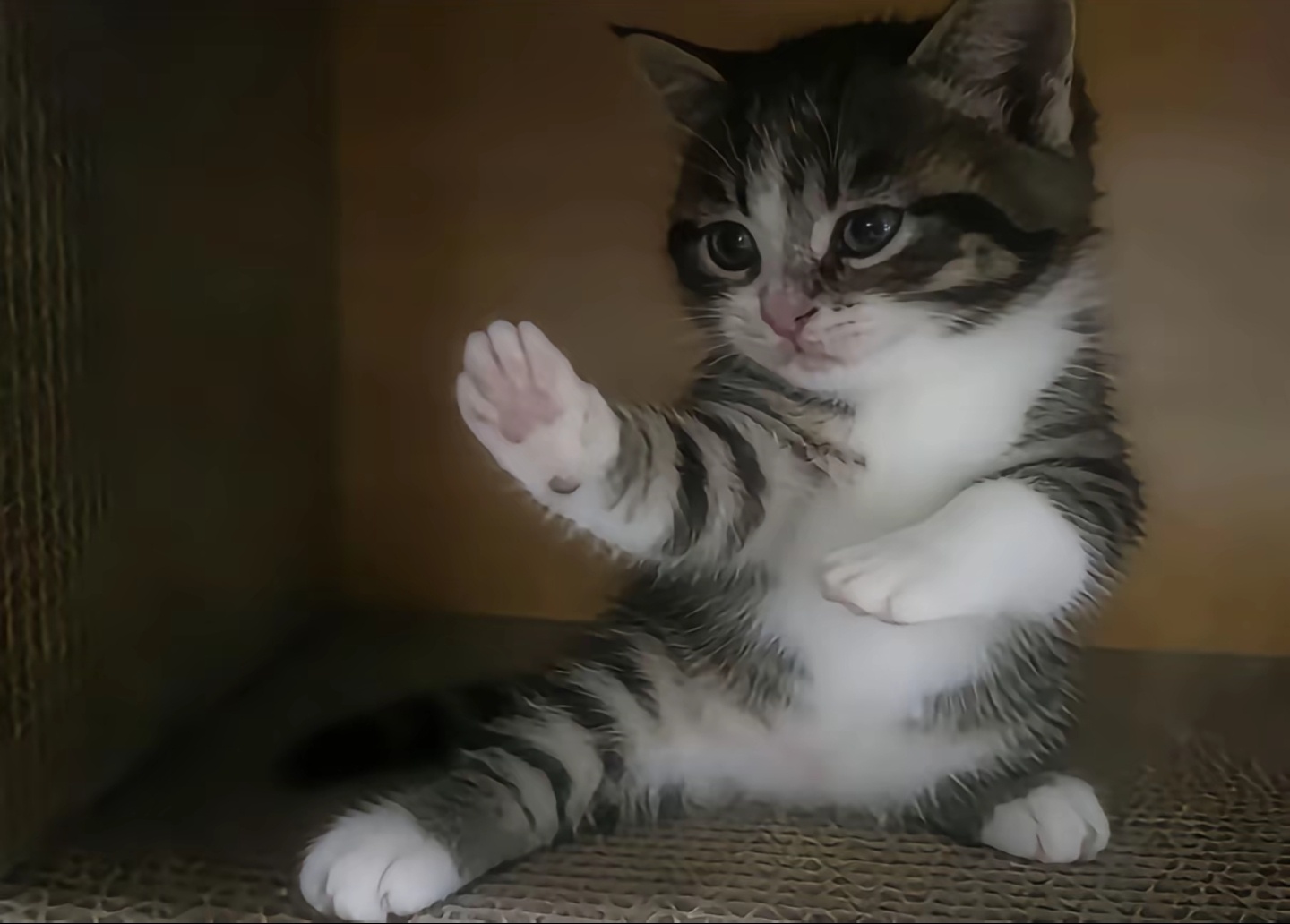 我已无心与你一决高下 再见