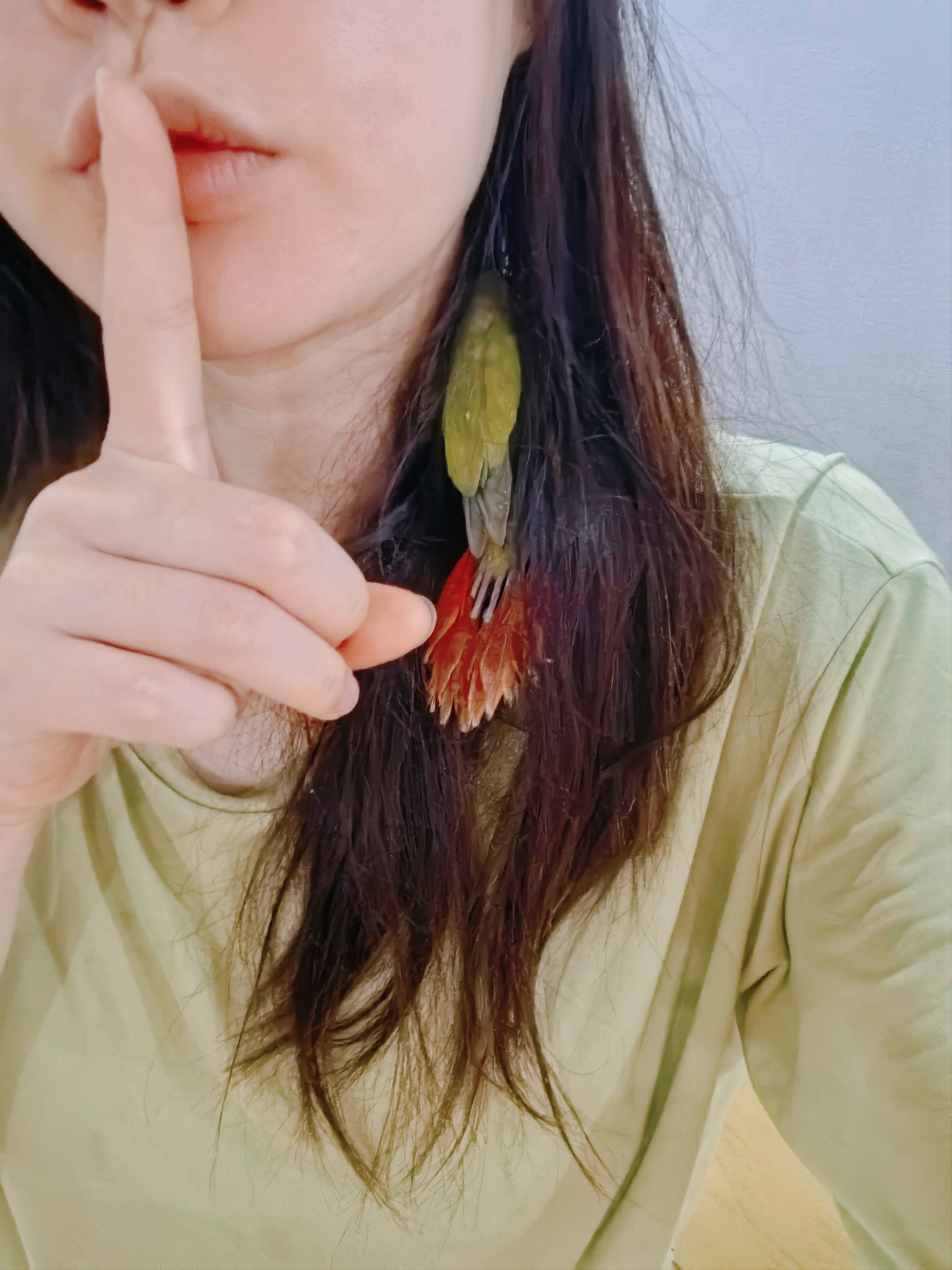 如果你发现我头发里有一只彩色小鸡，请不要突然尖叫，小声一点，不要吓到用我头发做窝