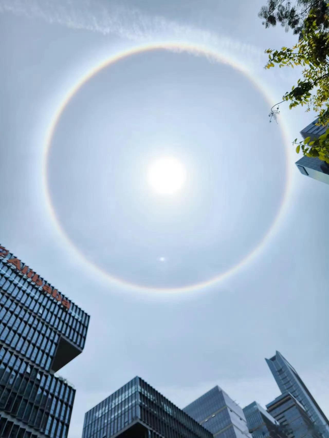 #被牛撞了个满怀# ​​​