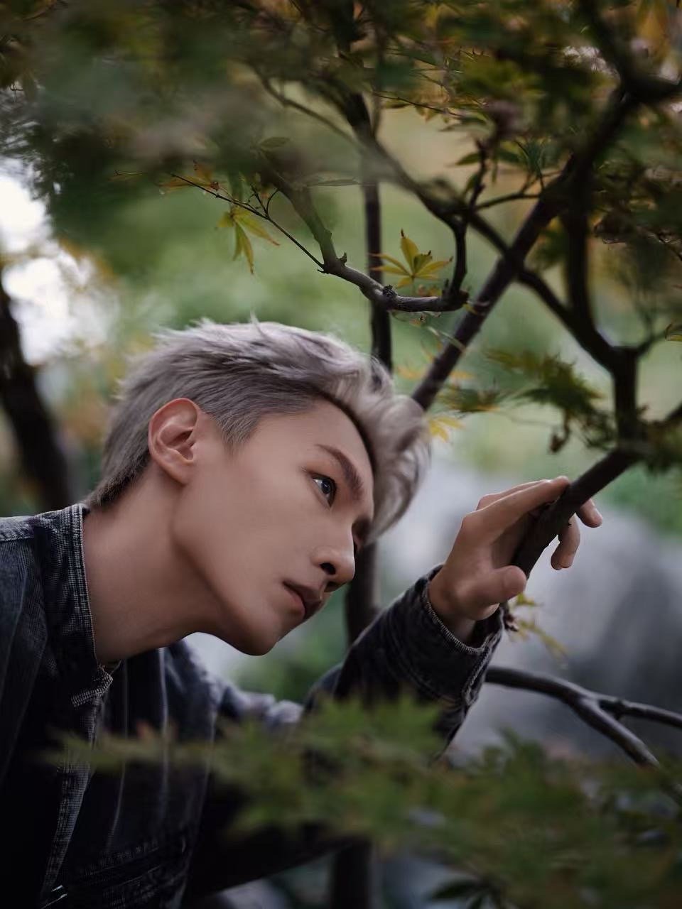 王青音乐节 王青今天的银发造型也太绝了！灰调牛仔装衬得他清俊又松弛，古建庭院里的