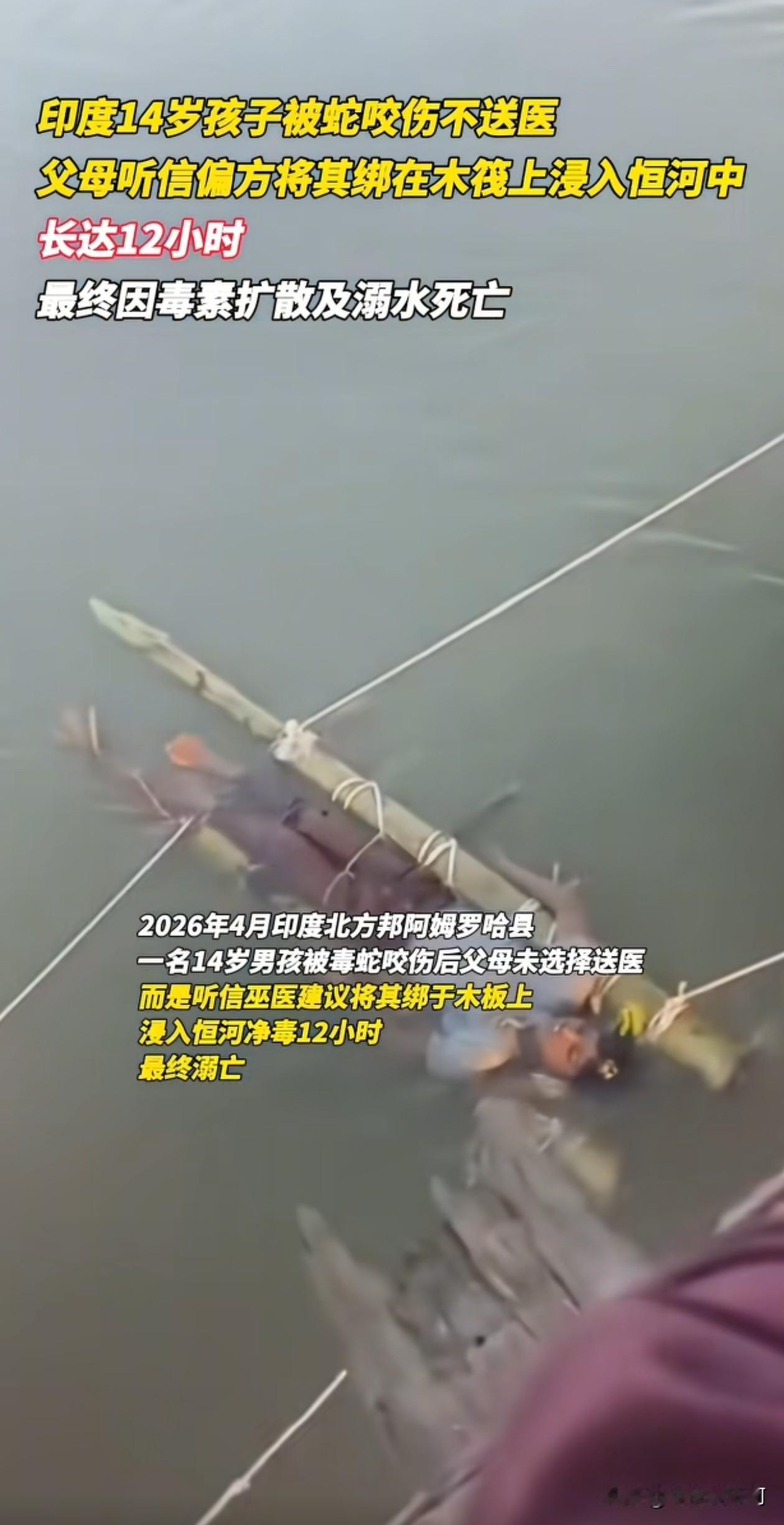 14岁孩子被蛇咬，愚蠢的父母竟然相信所谓的偏方，把孩子绑在木头上，泡在恒河水中，