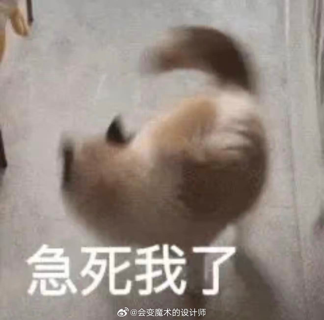 关于电脑椅的碎碎念好看不中用的椅子太磨人了颜值到位支撑跟不上久坐老腰遭罪啊前段时
