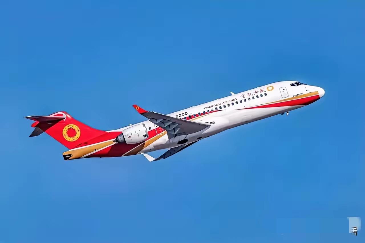 咱家的 C909，在越南飞了半年，租期一到，人家没续，飞机就这么飞回来了，很多人