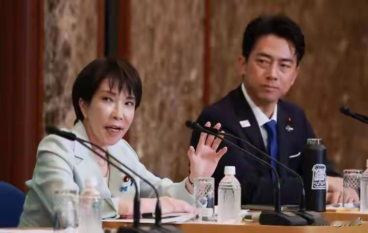 愤怒的首相！高市早苗称:无法容许中国对日本出口管制
27号当天，日经新闻对外发布