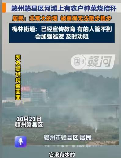 江西赣州，男子住在县城，他所住的附近有一个河滩。河滩是没有水的，很多居民在上面种