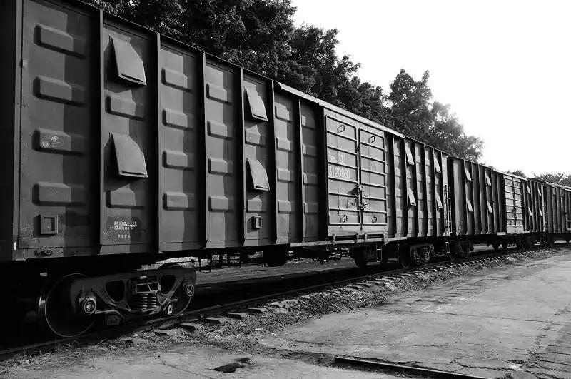 1959年冬天，一列列闷罐车从河南、安徽、四川驶出，车厢里挤满了衣衫褴褛的农民。