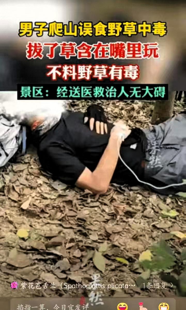 破案了！广东东莞，一男子和好友来到银瓶山徒步，不料半路上突然呕吐不止，瘫倒在地，