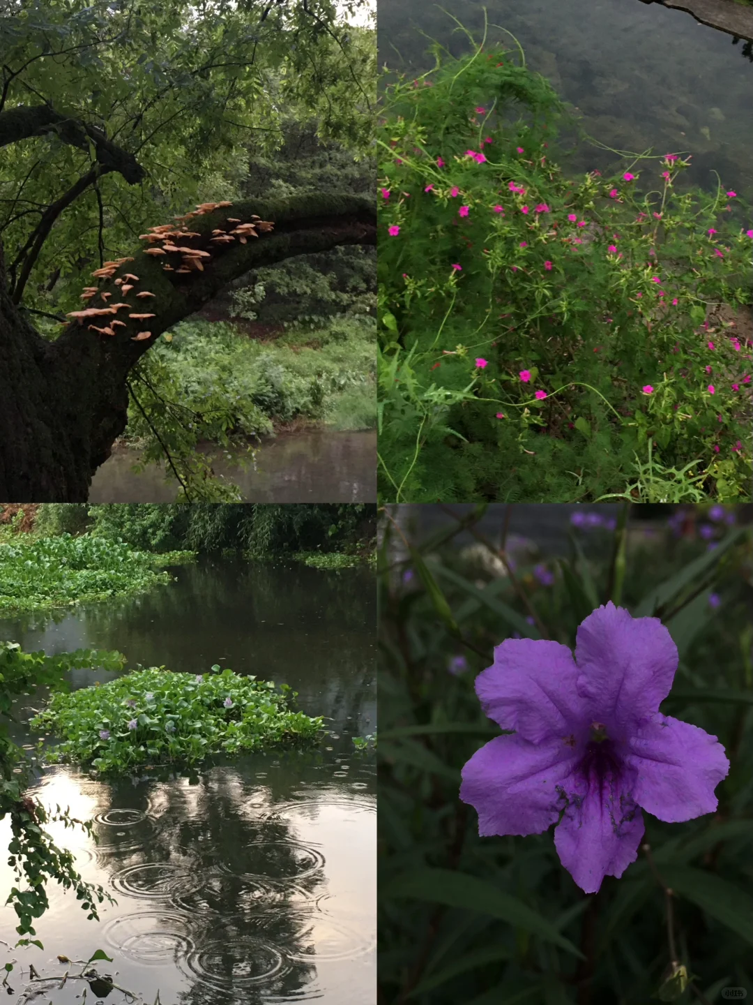 31岁在好好养福气。