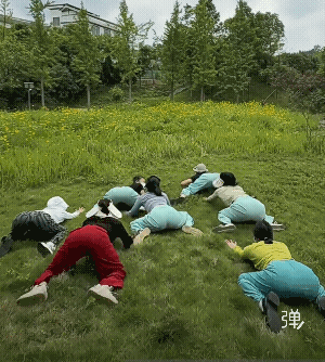 哎呦!我的小乖乖，你们团队还招人吗？我也想加入你们一起玩![捂脸]