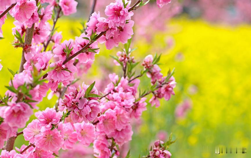 突然被异性疯狂示爱，那不是惊喜，而是惊吓！就在近日，江苏一位20+岁的女孩，因向