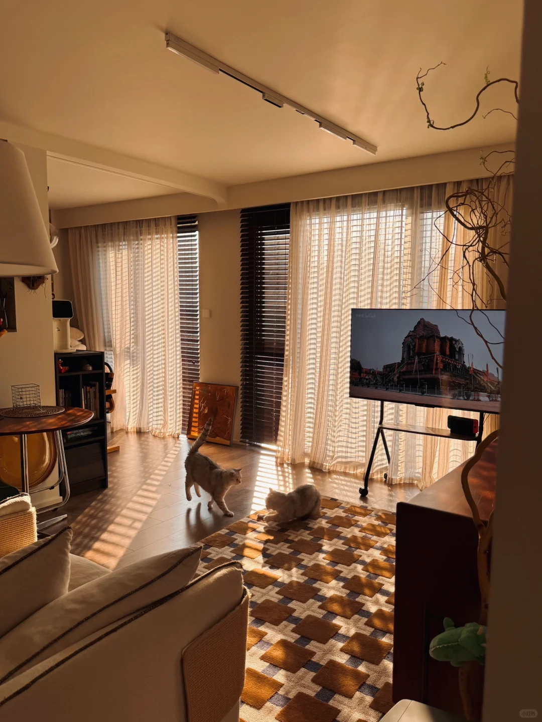 饱和度拉满，与秋🍁十二分般配的小房子 GET！