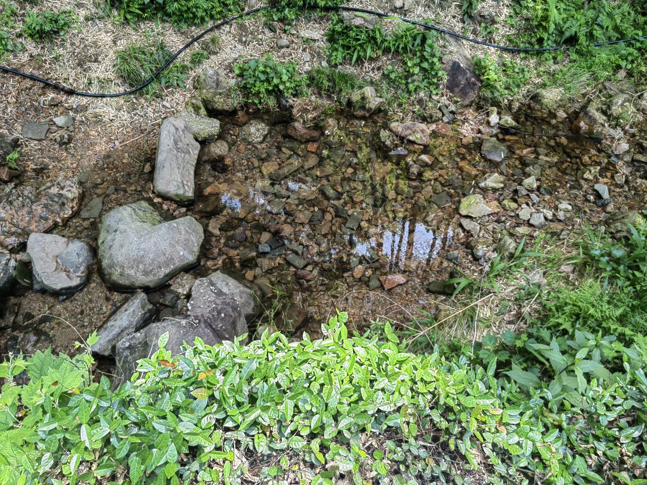 富阳黄公望森林公园:

一泓清泉，清澈见底，人尽喜欢之。有人尽享“近水楼台”之宜