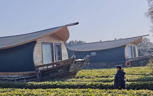 秦岭笑谈 【踏访云过山丘 解码茶旅共生】曲阜师范大学青春三下乡乡村振兴 为深入贯