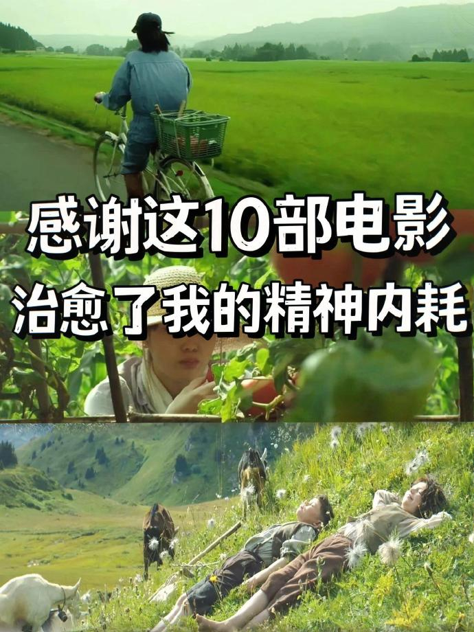 容易内耗的一定要看的10部电影~ 