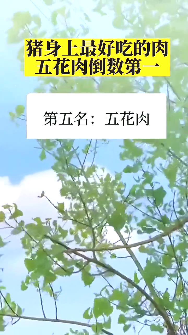 猪身上最好吃的肉，五花肉倒数第一
 
说实话，以前我买猪肉，只认准五花肉！
每次