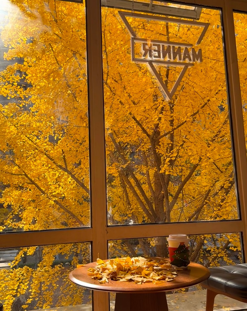 上海橱窗里的冬日氛围感拉满了 走进天平路31号的Hands Antiquites