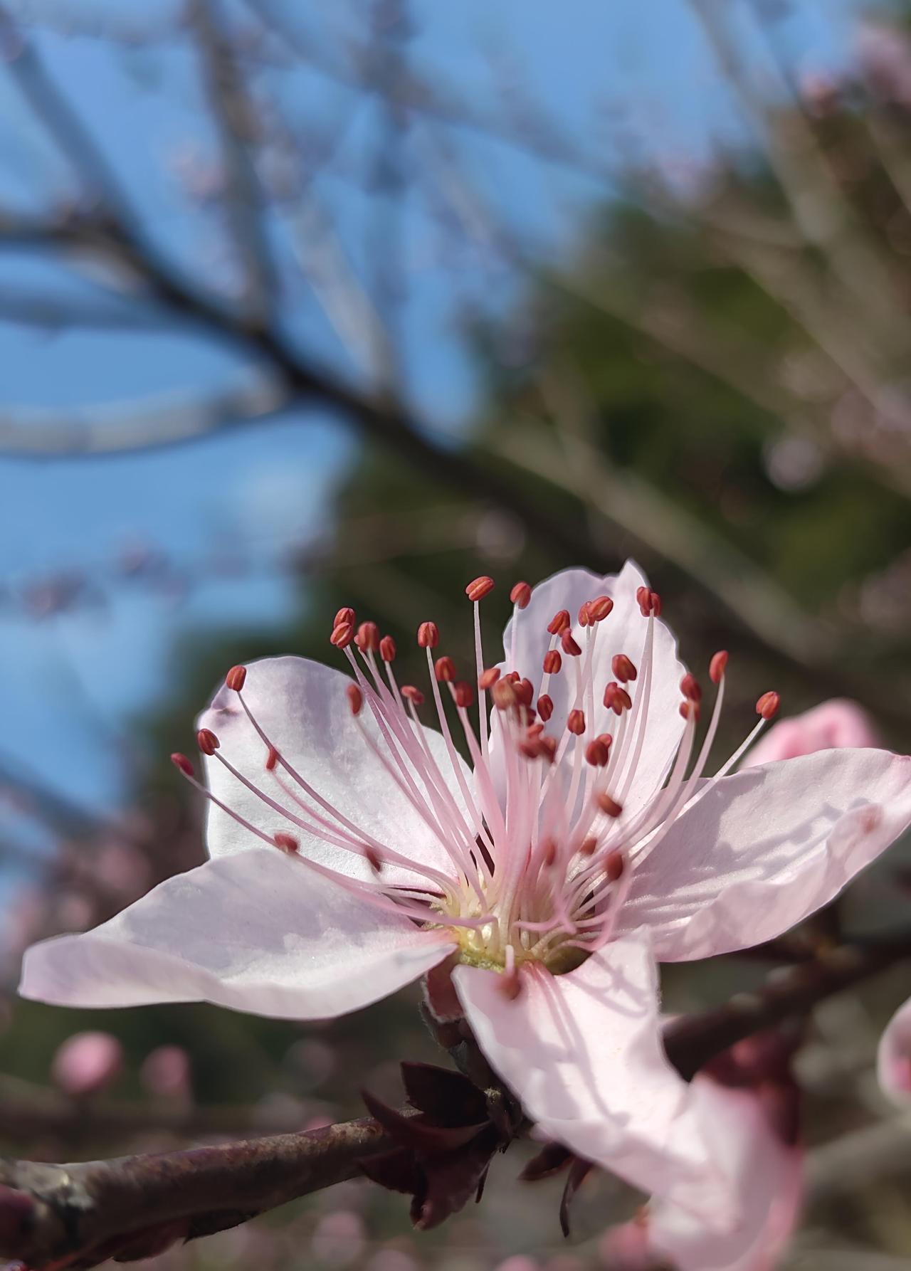 能分享几张特别漂亮的真实风景照吗