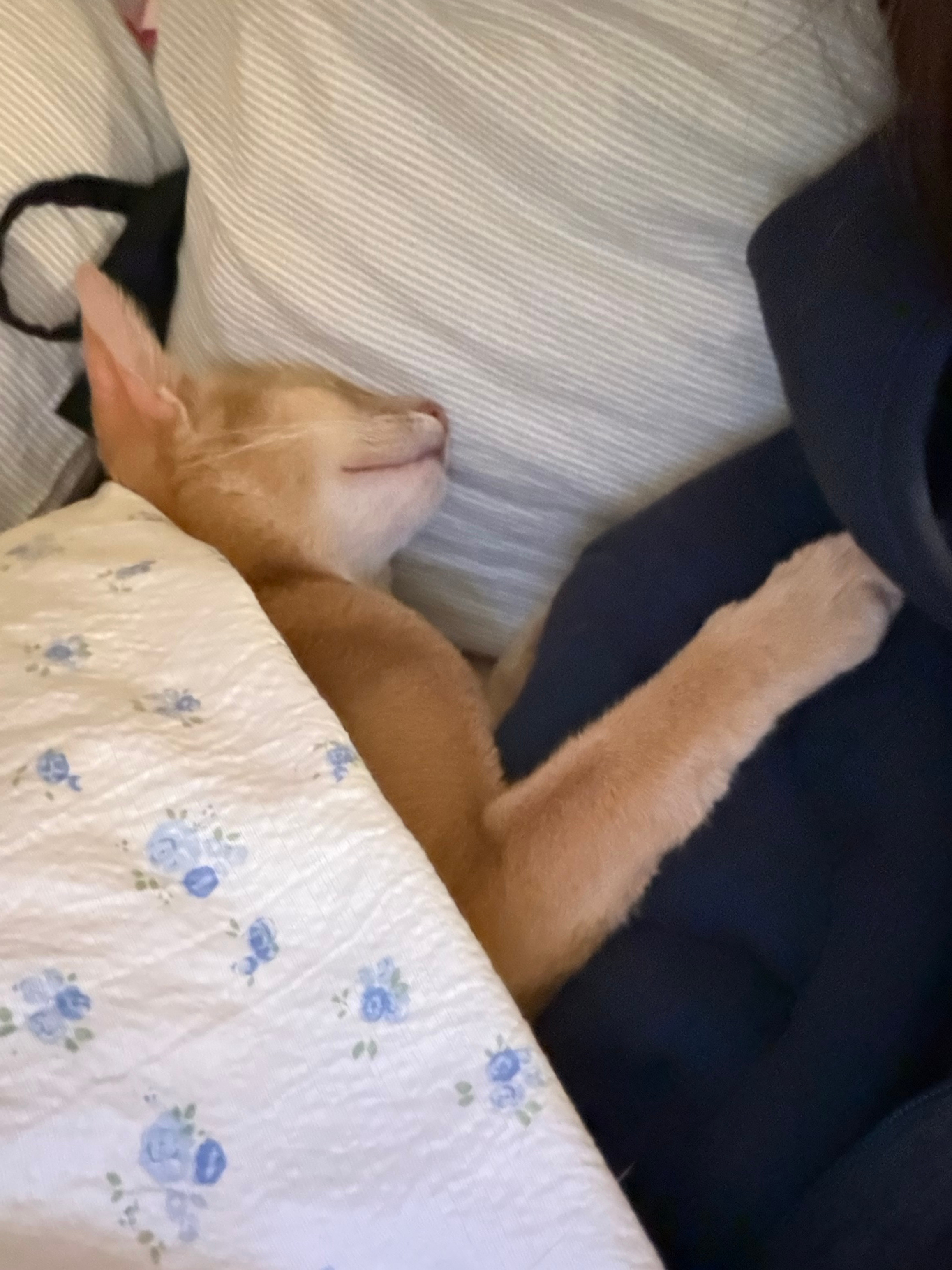 我要出这个妆教。 