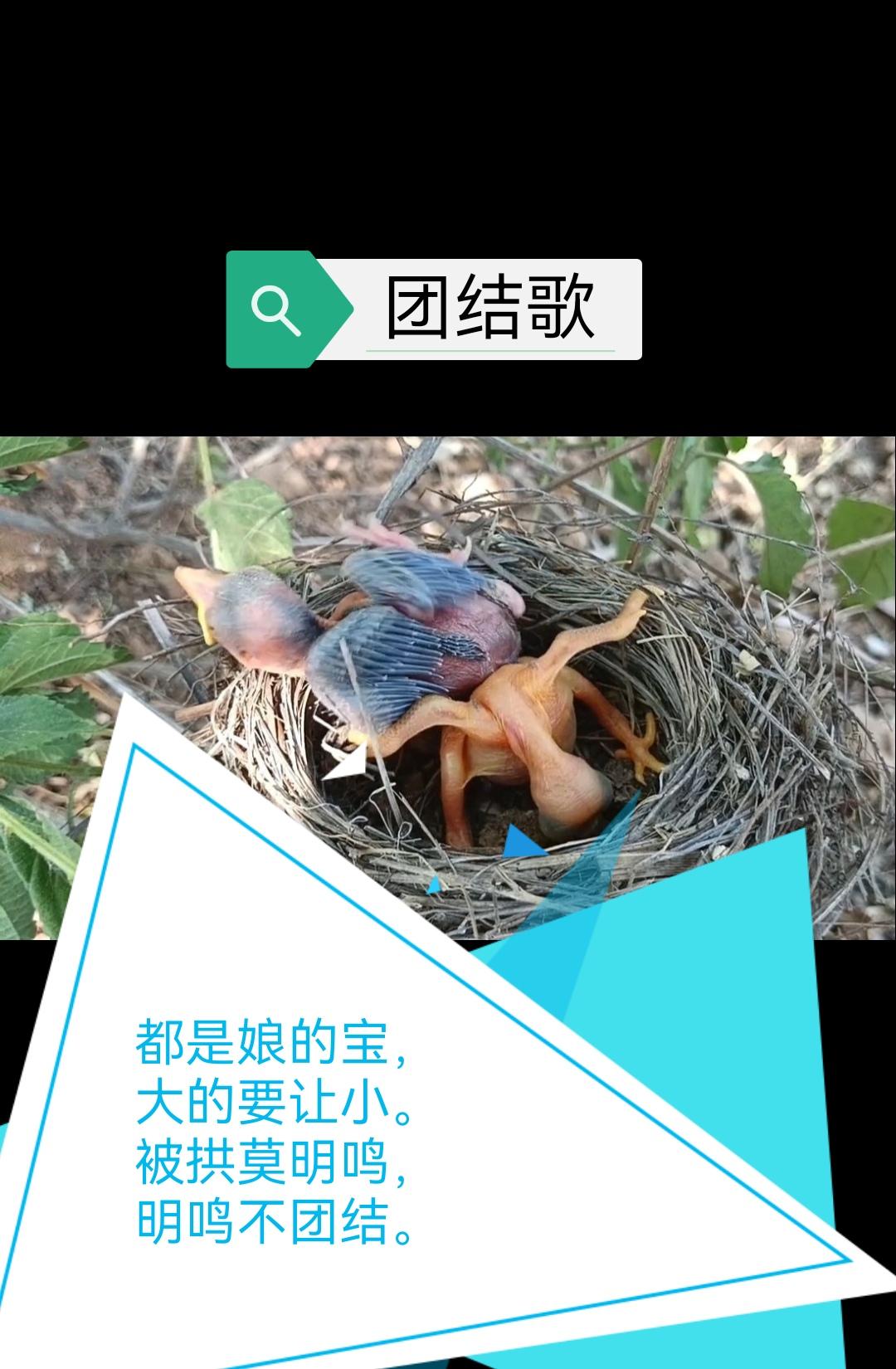 赋诗一首，促进团结