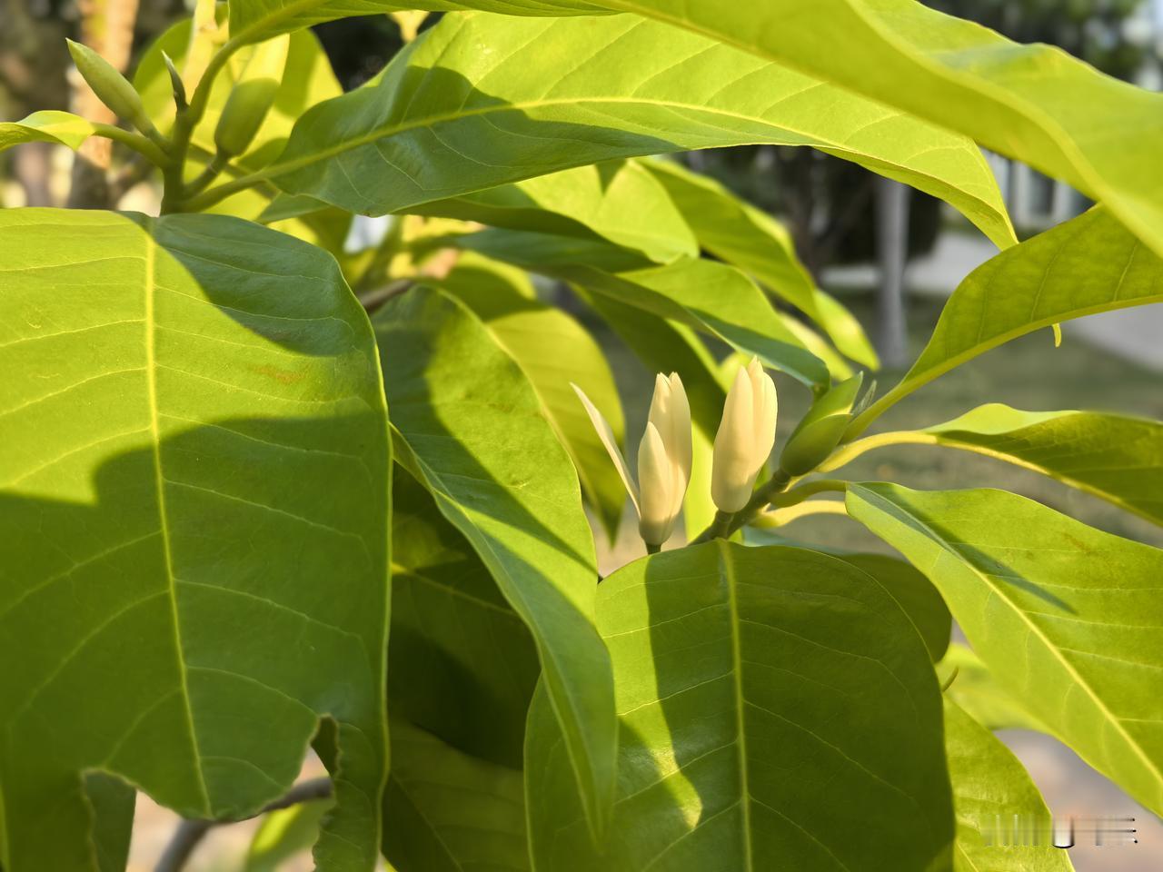 大家有没有刷到过故事会？感觉里面讲的有些事情是真的，但又不愿意相信，有些太离谱了