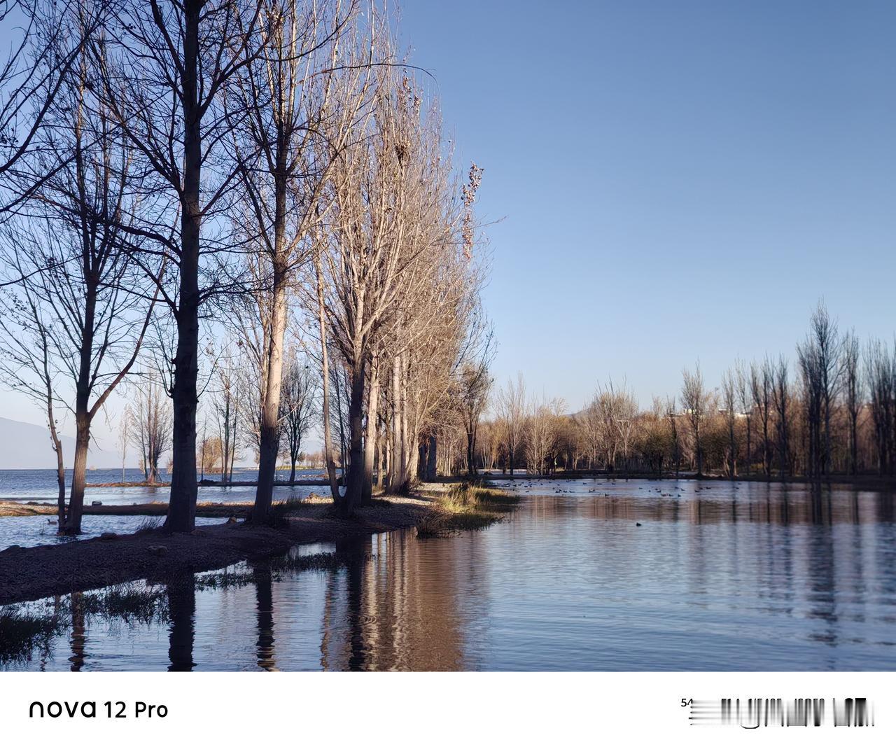 就这样吧
这是最后一次，以想念的名义
叩响你的门扉
此后，山海相隔，音讯皆无
 