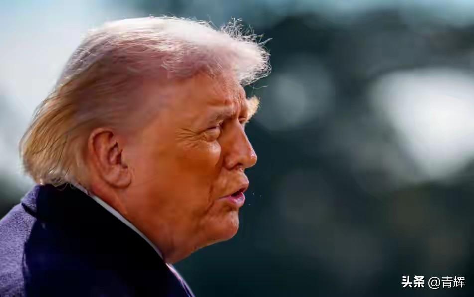 不暗杀、想停战！特朗普对伊朗空前松口，但伊朗却不这么想
3月9号伊朗公布了新任最