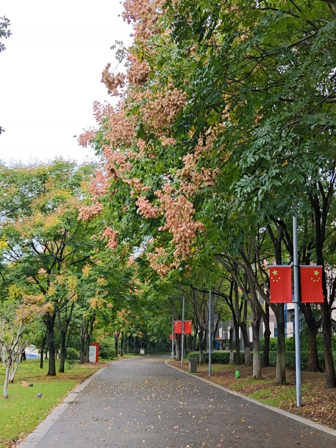 从36°的横店回到23°的南通
一下子有点不太适应[捂脸]
早上走路🚶🏻‍♀
