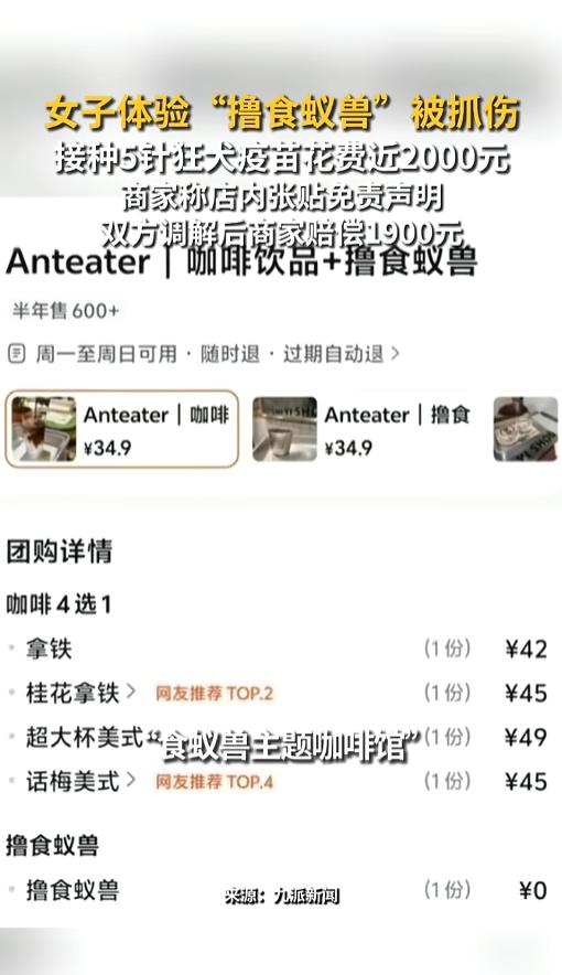 “各有各的理！”7月15日报道，浙江杭州，一女子到一家食蚁兽主题咖啡馆，一边喝咖