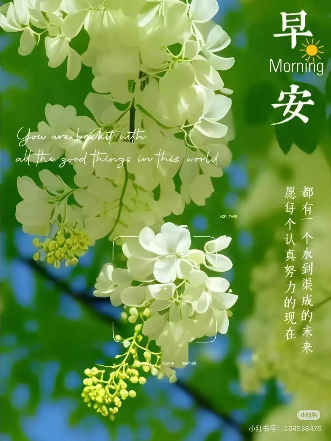 🌸ʍօʀռɨռɢ◡̈♡̶ 💚
新的一 天，新的机遇，新的可能。
让清晨的阳光