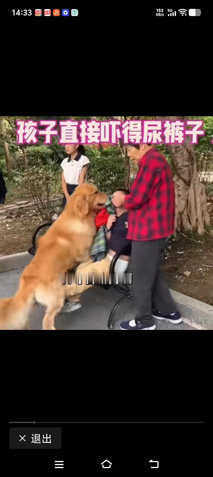 狗主人不出现，不栓绳缺德，那个老人怎么就不把孩子抱走离开啊，太急人了！

一只大