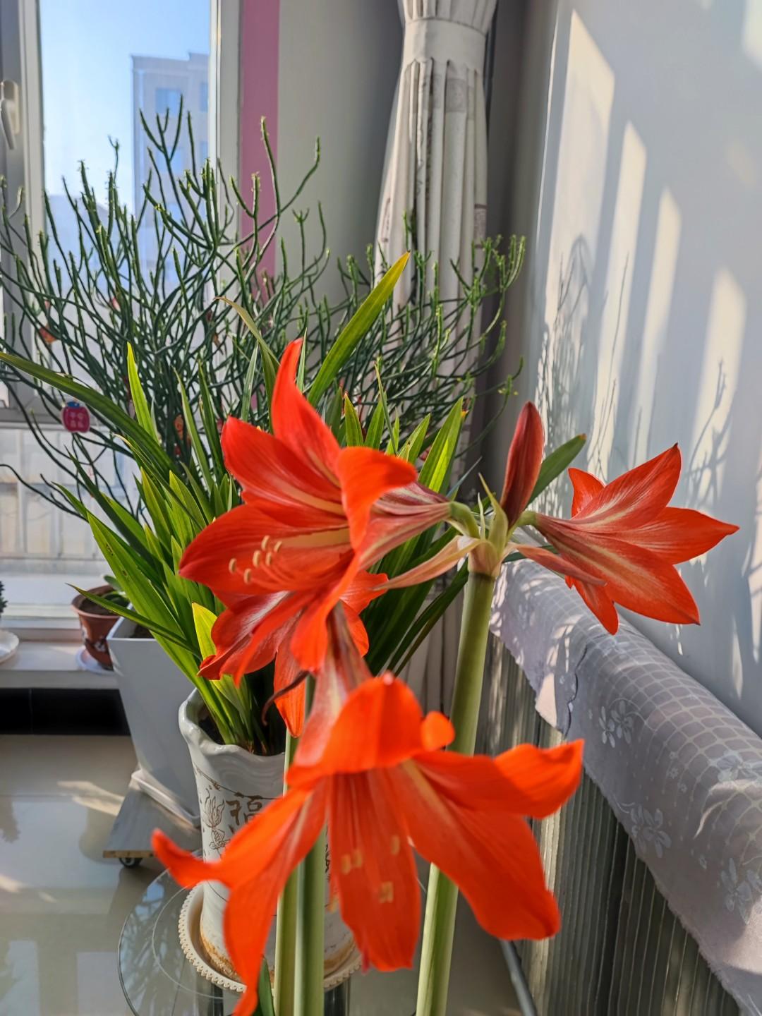 清醒过度咋办？
今天去看公公，
公公说前天去街里买东西，
突然就辨不清楚家的方向