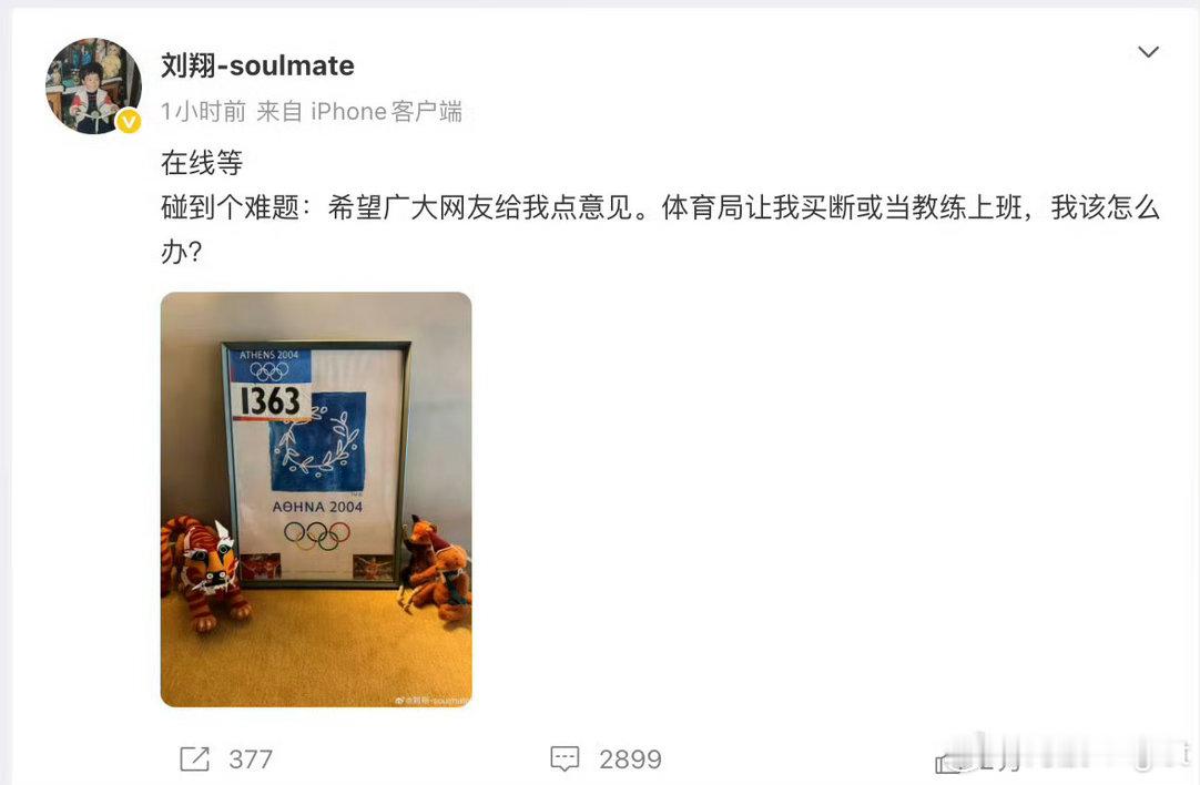 刘翔直接额度财富自由了吧，除非想当教练[doge]刘翔年保底收入1400万元 ​