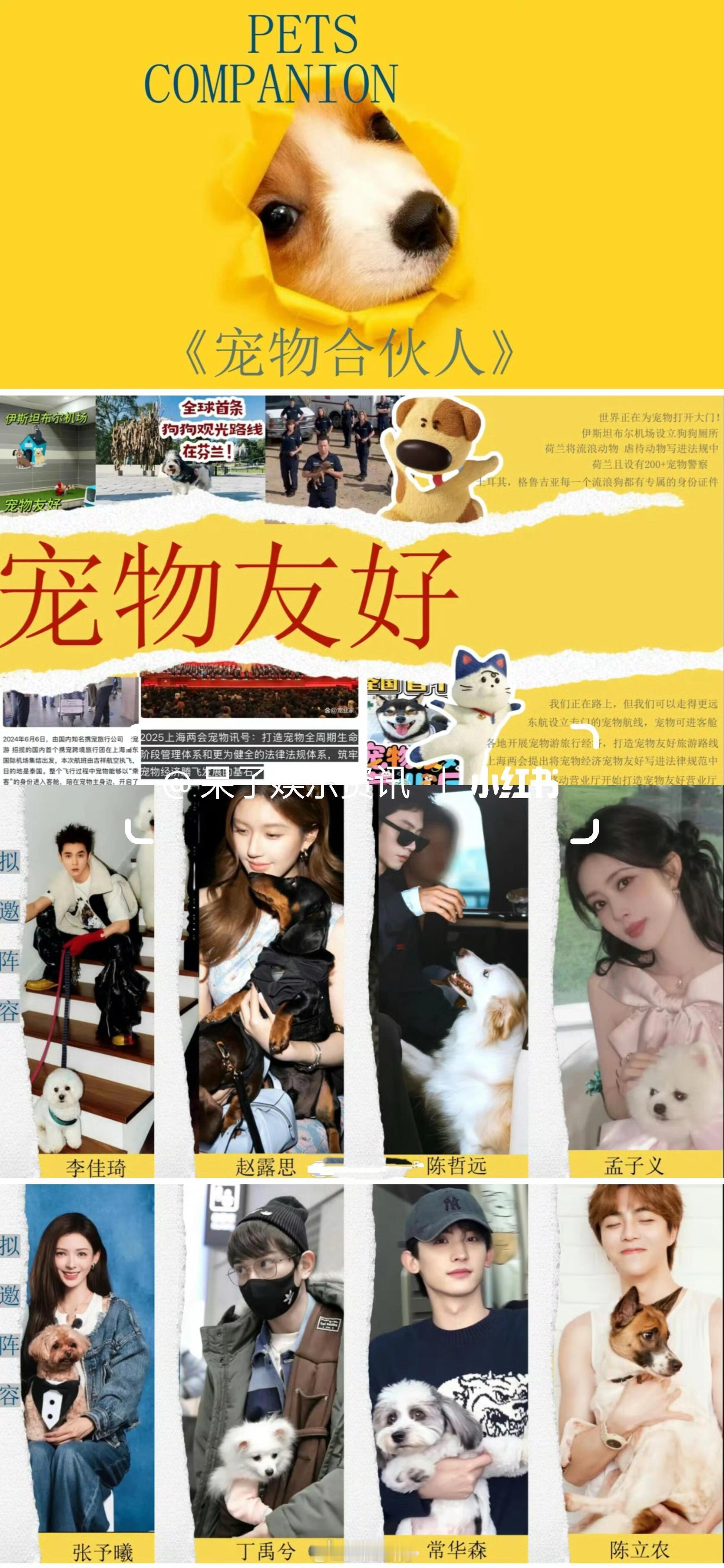 芒果综艺《宠物合伙人》阵容🈶拟邀嘉宾：赵露思、陈哲远、李佳琦、孟子义、丁禹兮、