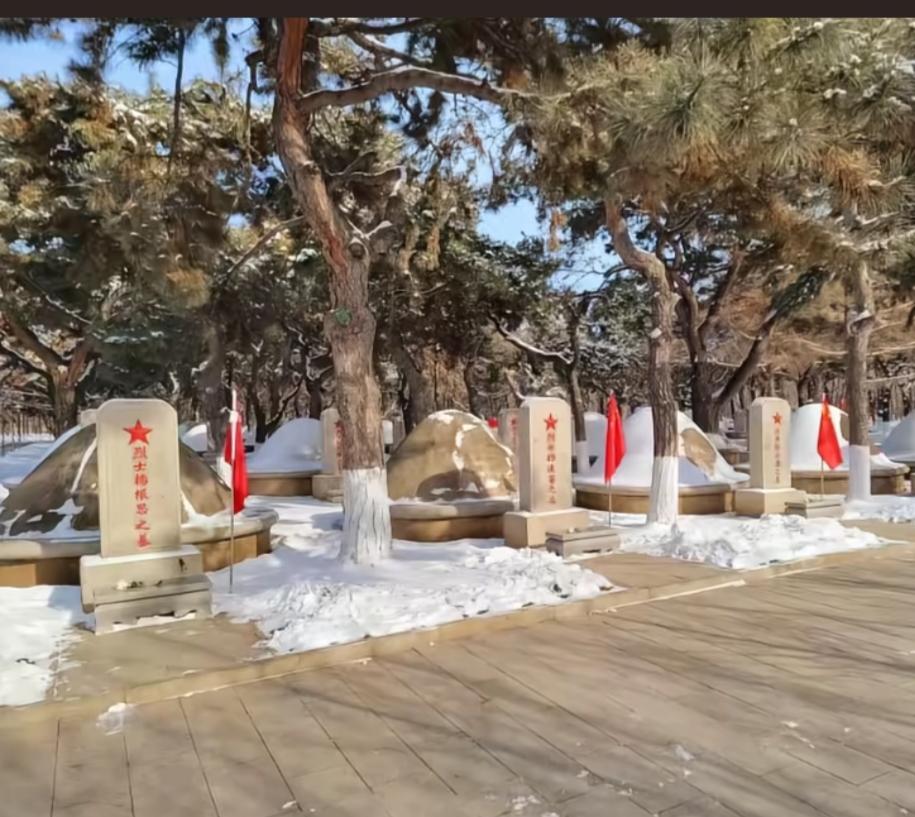 烈士陵园，是承载着历史记忆与民族精神的神圣之地。，每一处都诉说着先辈的英勇事迹。