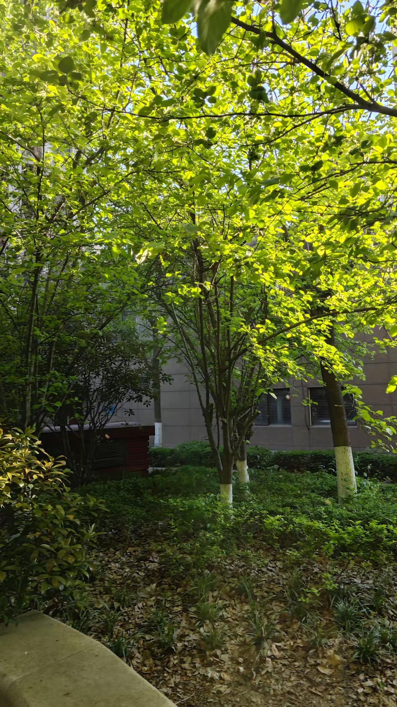 有个老中医跟我说：“你看那些长寿的老人，有几个是靠跑步活到九十岁的？他们靠的是慢