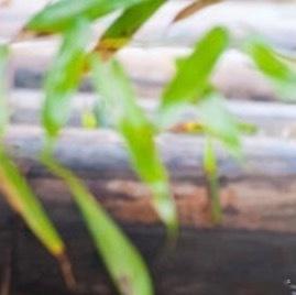 熊猫守护者 | 熊猫守护者‬ 用心甘情愿的态度，过随遇而安的生活。遗憾，随风散去